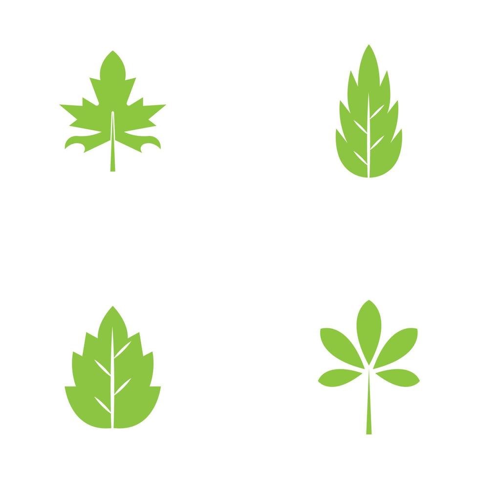 logotipos do vetor de elemento de natureza de ecologia de folha de árvore verde