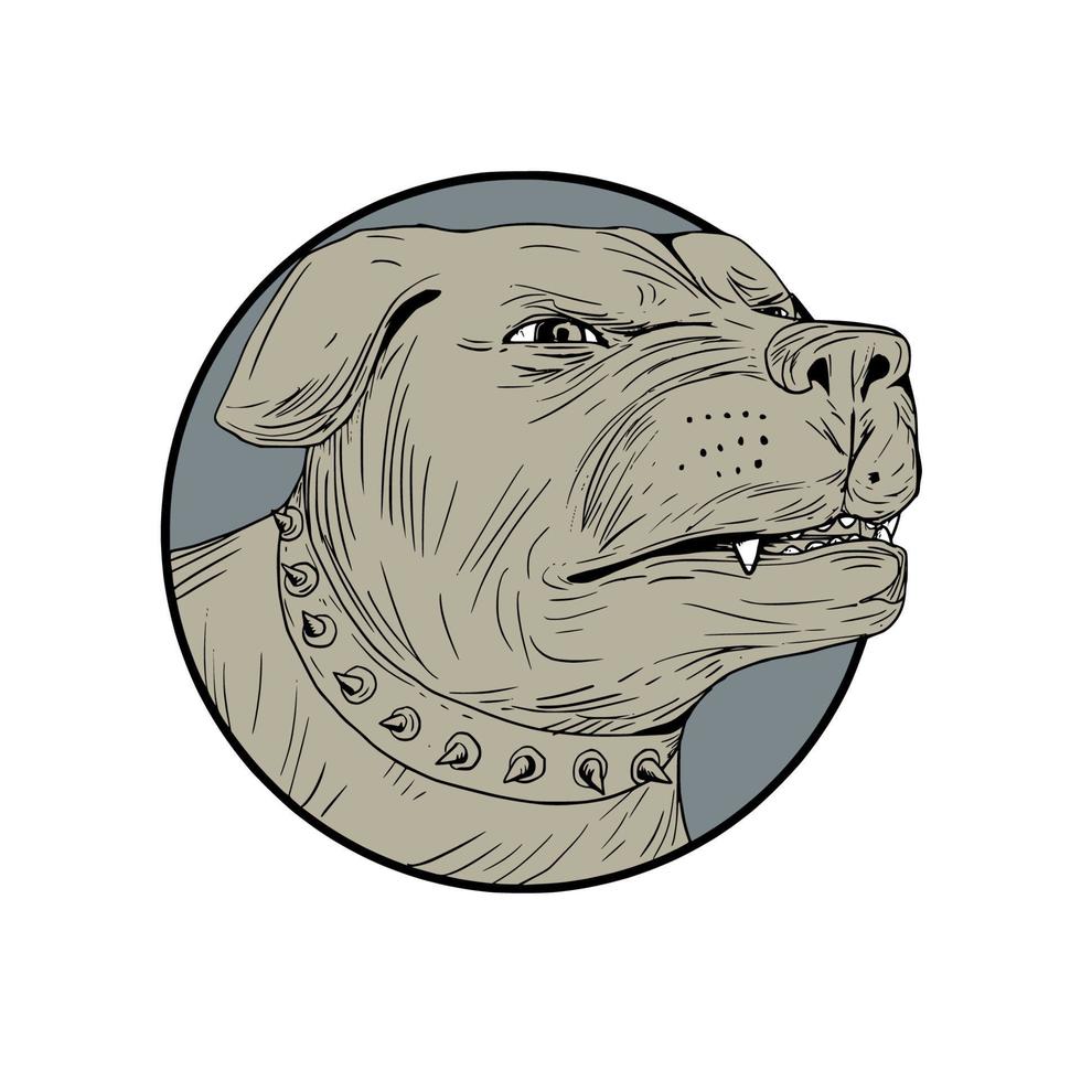 desenho irritado de cabeça de cão de guarda rottweiler vetor
