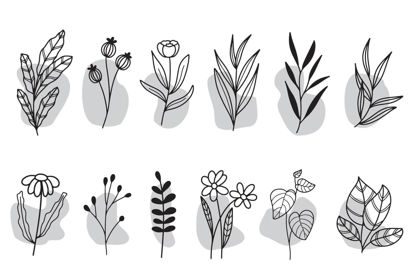 conjunto de lineart floral e folhas isoladas clipart vetor