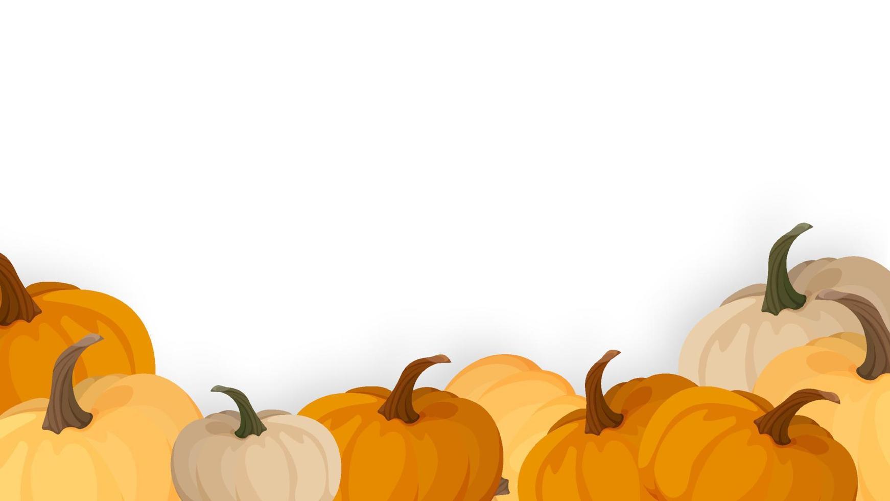 banner, cartaz, cartão ou design de moldura com frutas de abóbora. colheita de outono. abóboras de halloween de outono. plantas comestíveis. vetor de desenho animado em fundo branco