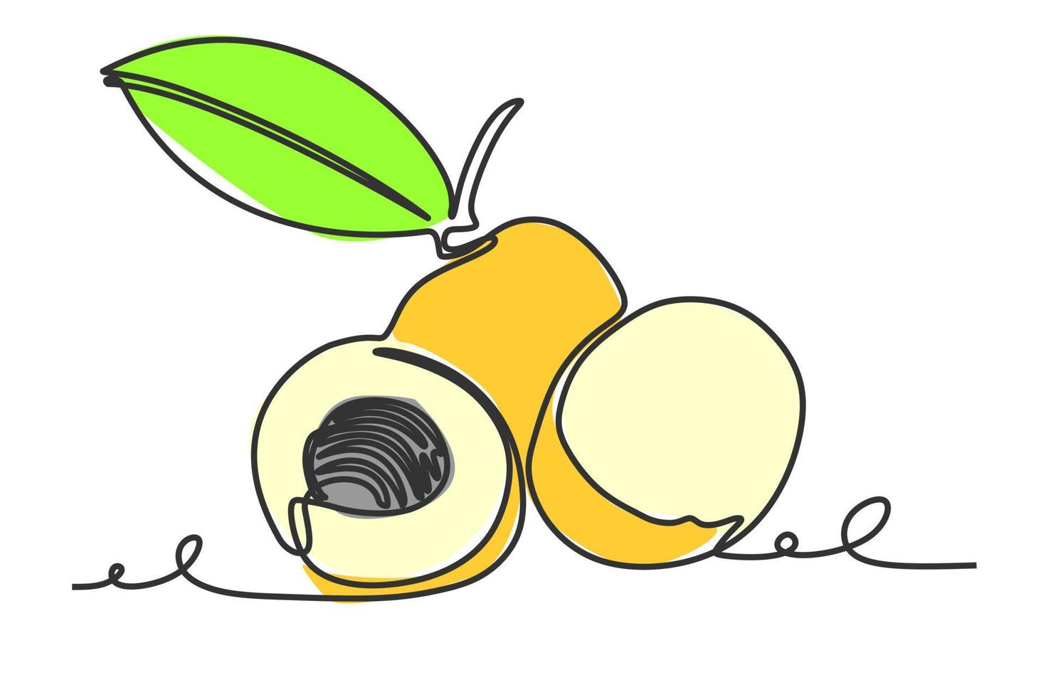 desenho de uma linha contínua de fruta longan. ilustração vetorial design de estilo desenhado à mão para o conceito de vida natural e saudável vetor