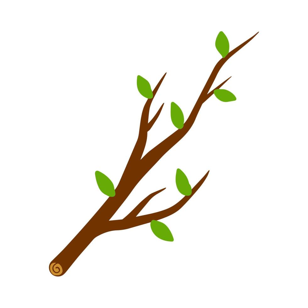 galho de árvore com folha na ilustração de fundo branco. elemento vegetal de madeira e natureza. ilustração simples plana vetor