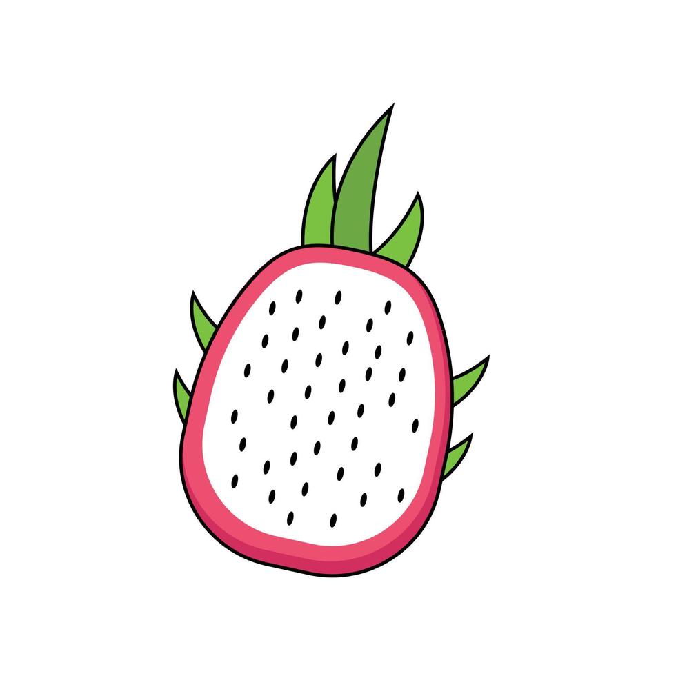 ilustração vetorial de fruta do dragão, ótimo para tema de comida de frutas vetor