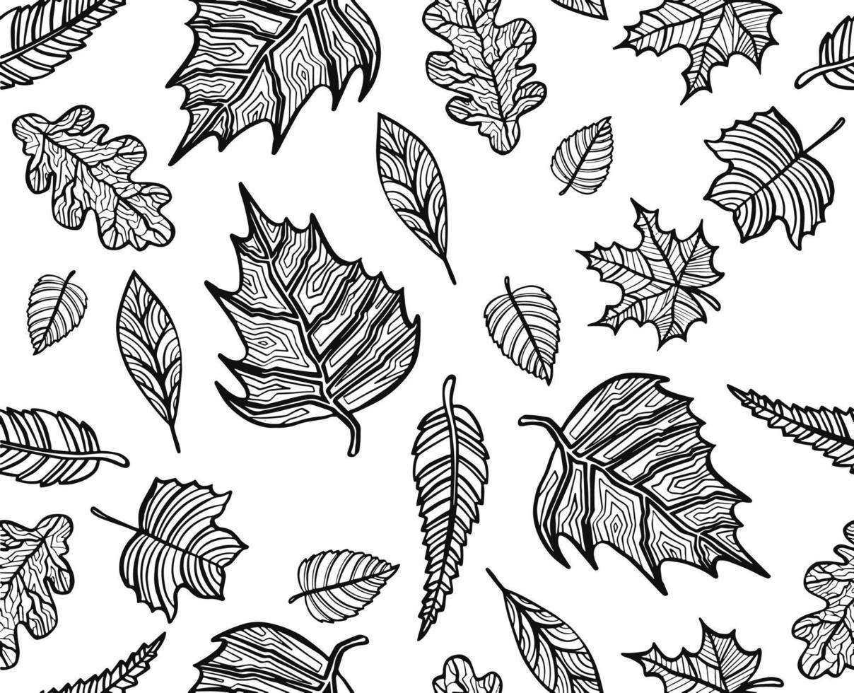 padrão de folhas de outono, fundo sem costura e ilustração vetor