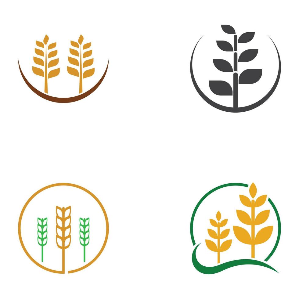 logotipo de trigo ou cereal, campo de trigo e logotipo de fazenda de trigo. com ilustrações de edição fáceis e simples. vetor