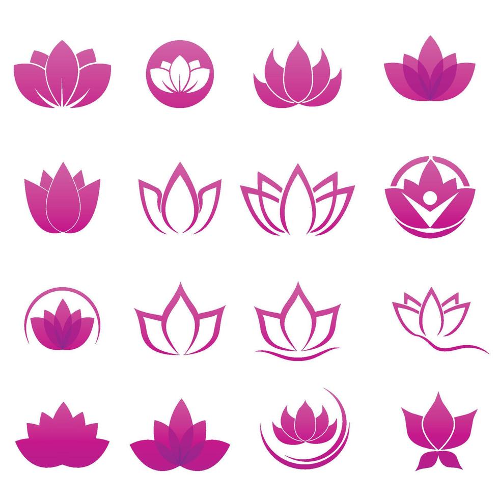 logotipos de flores, rosas, flores de lótus e outros tipos de flores. usando o conceito de desenho vetorial. vetor