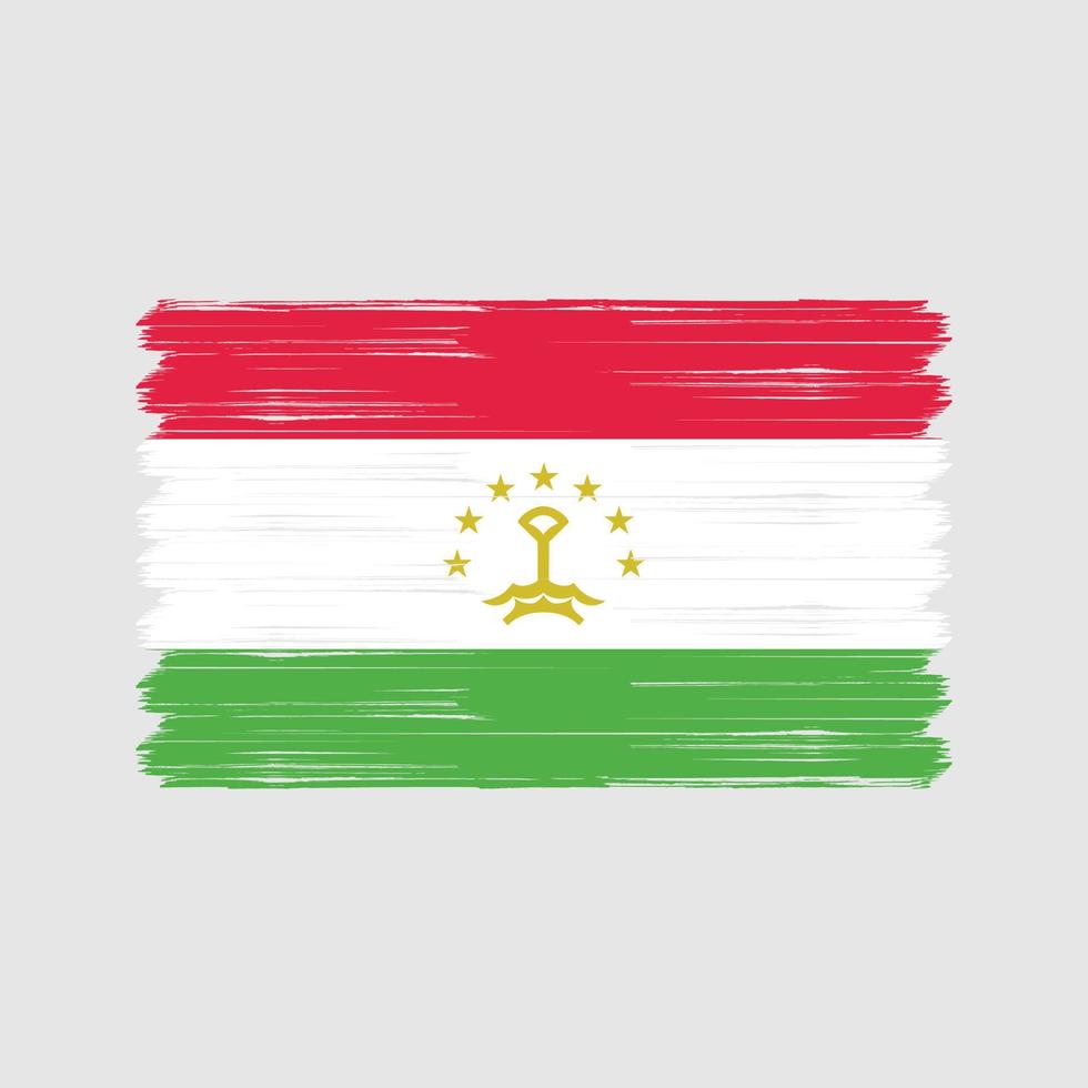 pincel de bandeira do tajiquistão. bandeira nacional vetor