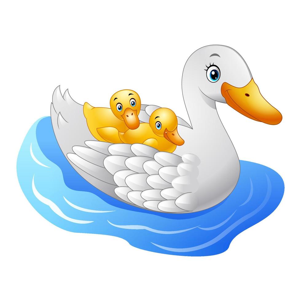 pato mãe dos desenhos animados com pato bebê flutua na água vetor