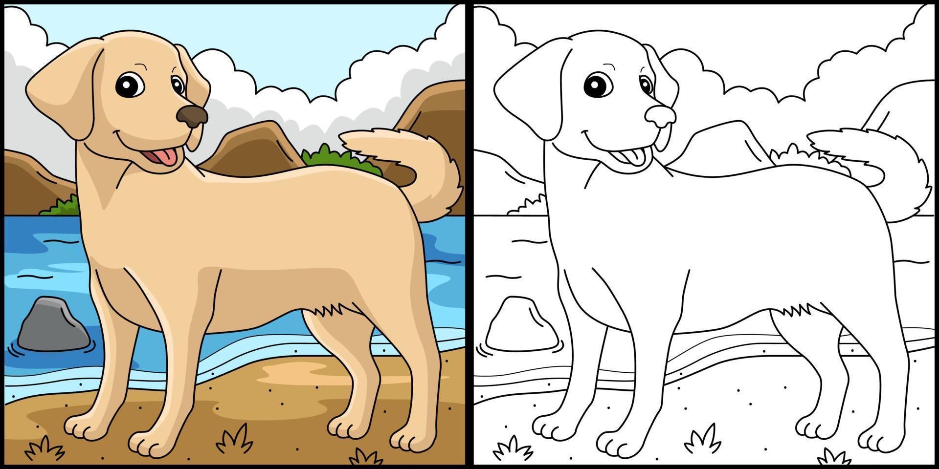 ilustração de página para colorir de cachorro labrador retriever vetor