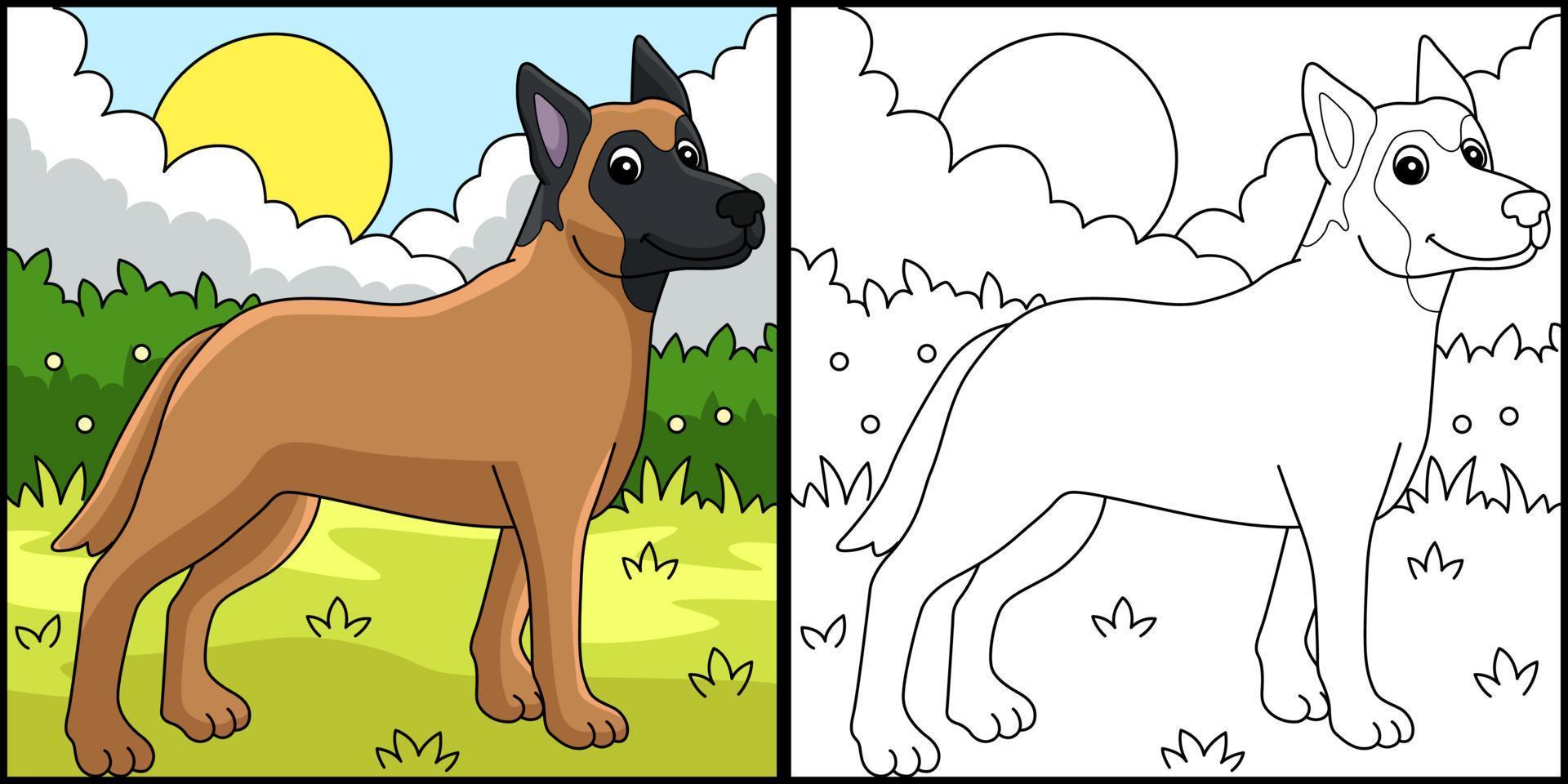 ilustração de página para colorir de cão belga malinois vetor