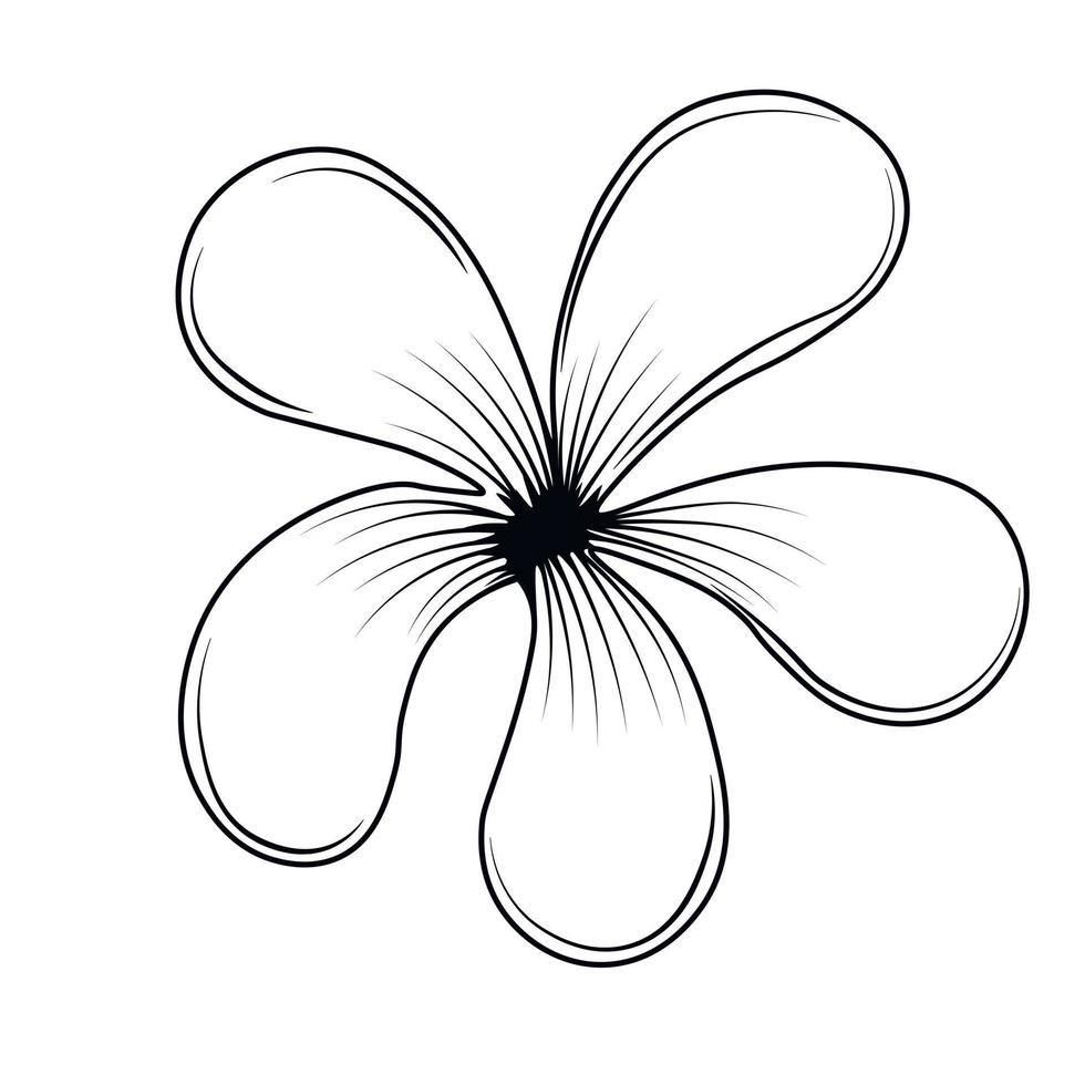 plumeria é uma flor tropical. ilustração vetorial de estoque. frangipani, jasmim. Isolado em um fundo branco. vetor