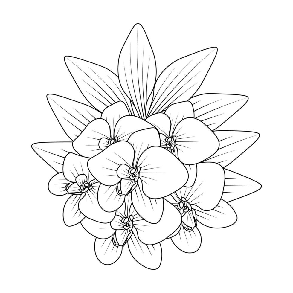 página para colorir de linha de contorno de flor de orquídea de esboços fáceis de desenho de mão vetor