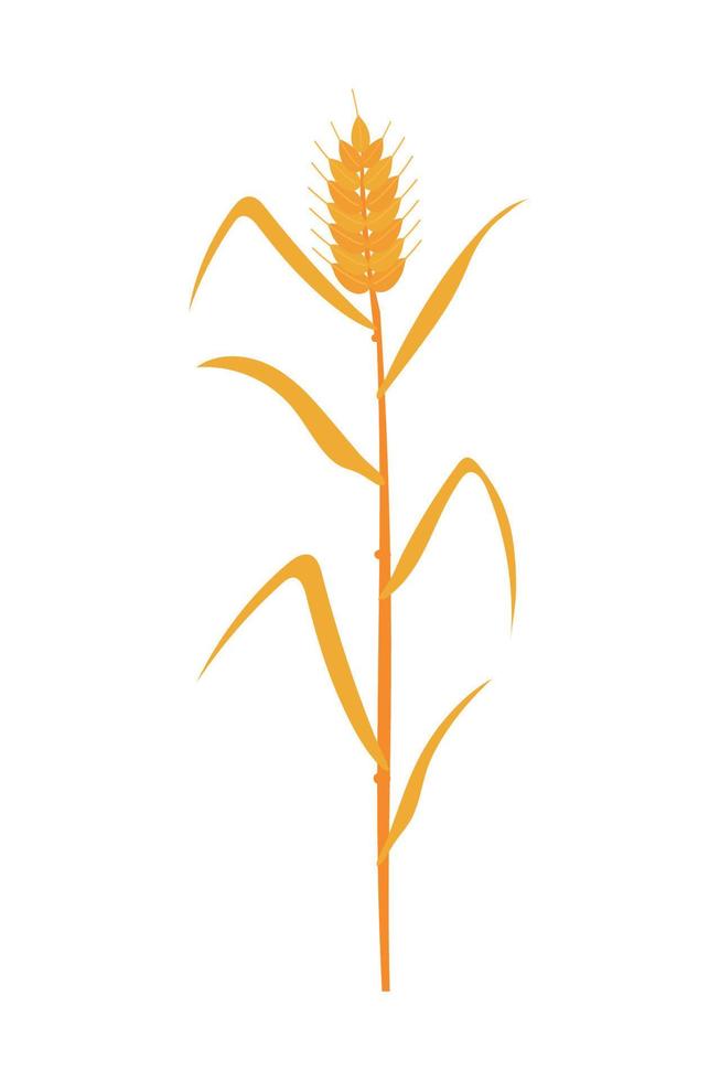 ícone de trigo isolado vetor
