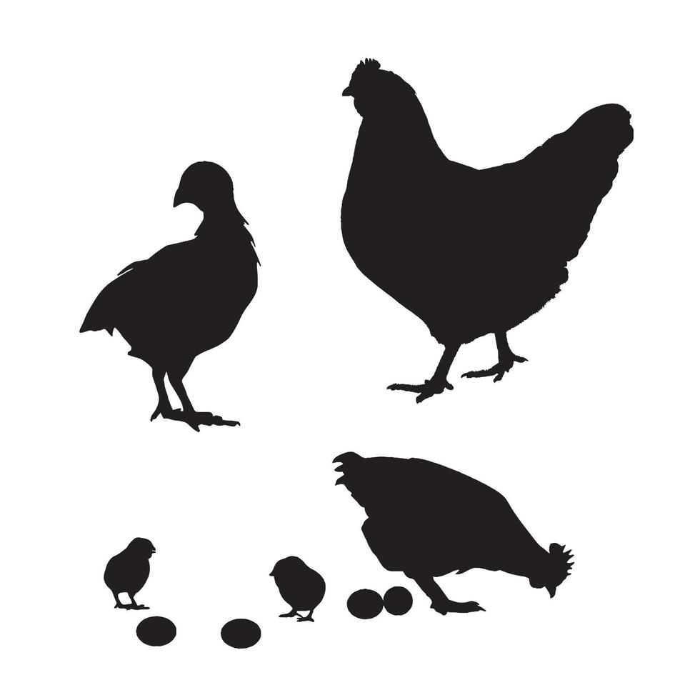 arquivo de silhueta vetorial de galinha vetor