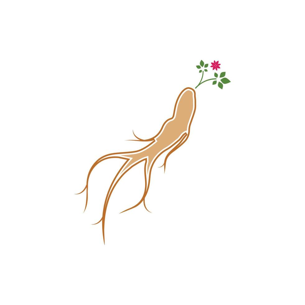 modelo de design de ilustração de ícone de vetor de ginseng