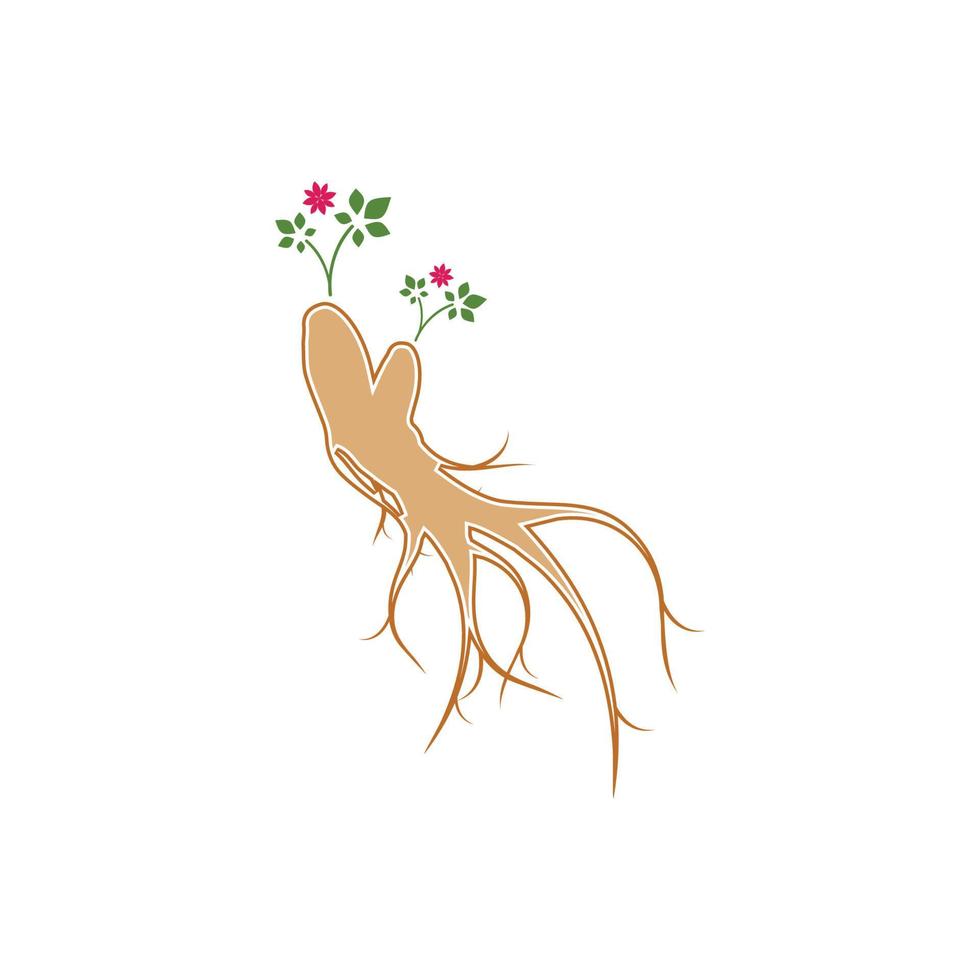 modelo de design de ilustração de ícone de vetor de ginseng