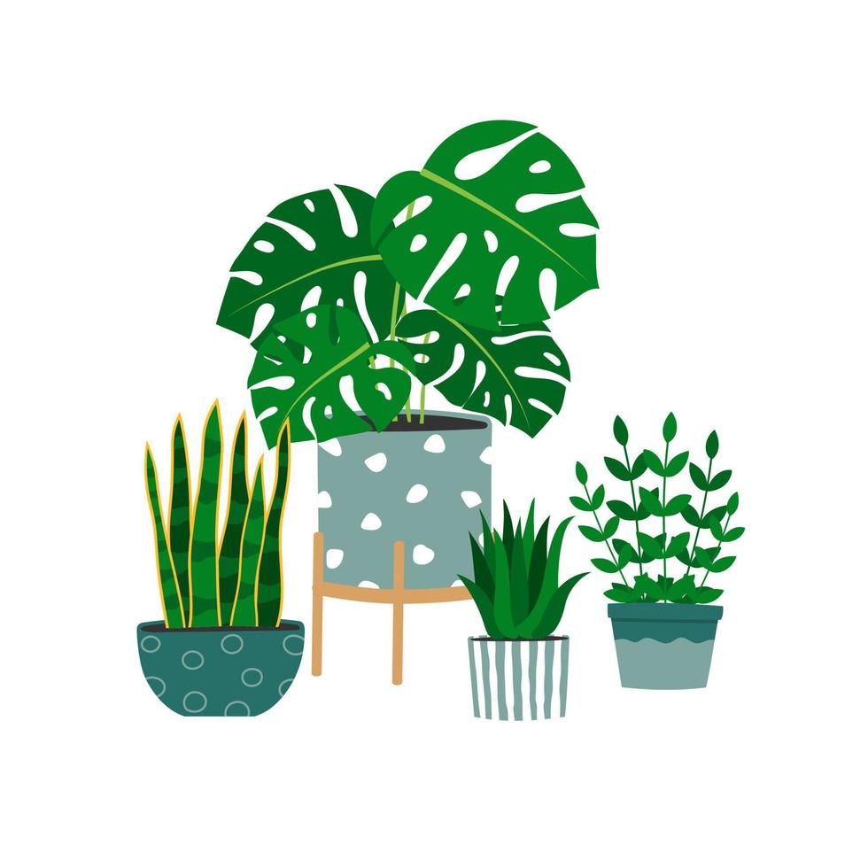 projeto de plantas de casa desenhadas à mão. composição na moda com decorações para casa vetor