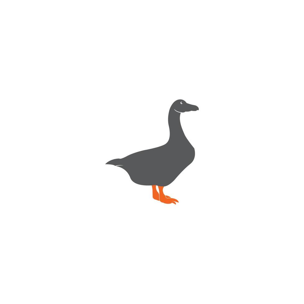 modelo de design de ilustração vetorial de logotipo de cisne vetor