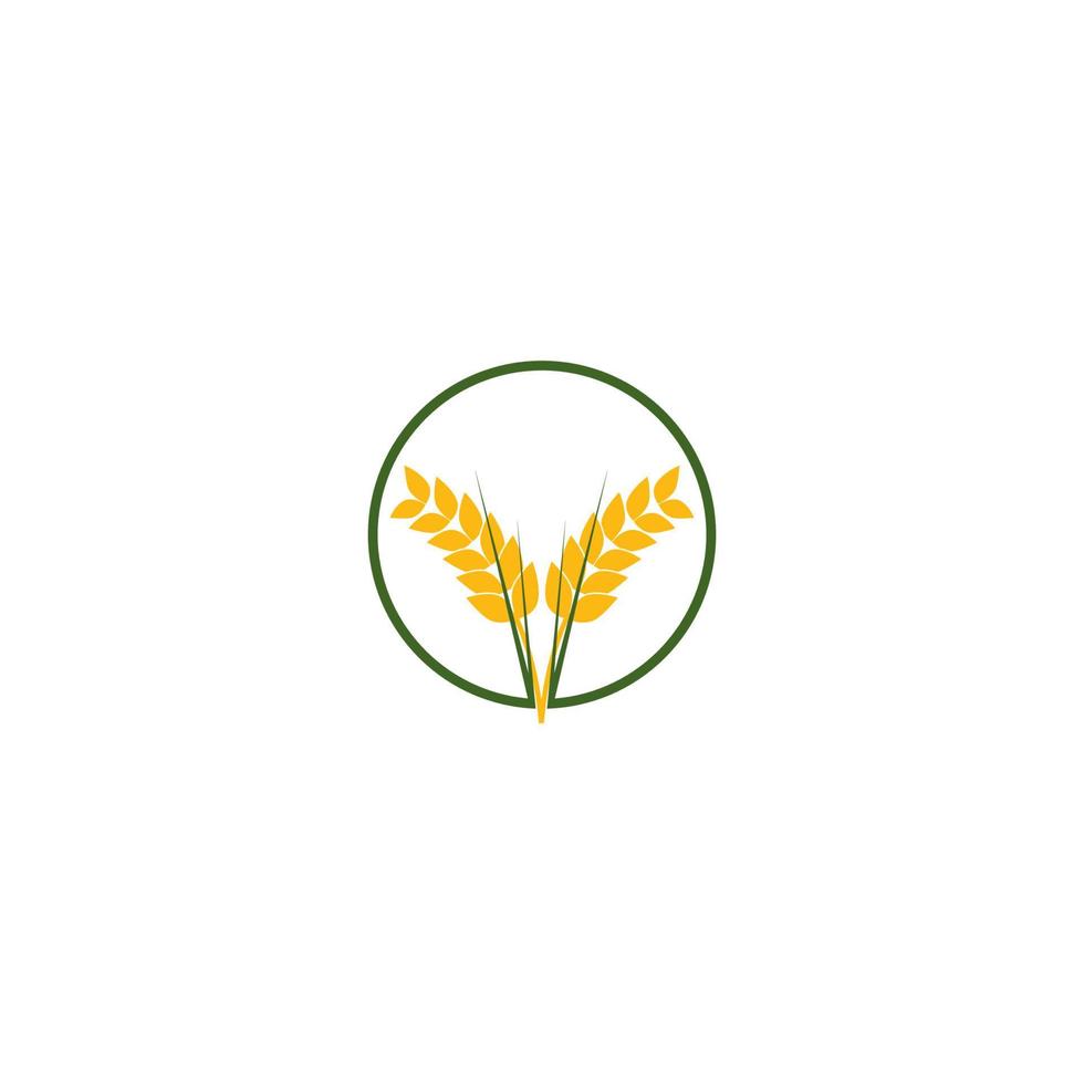 logotipo da agricultura de trigo vetor