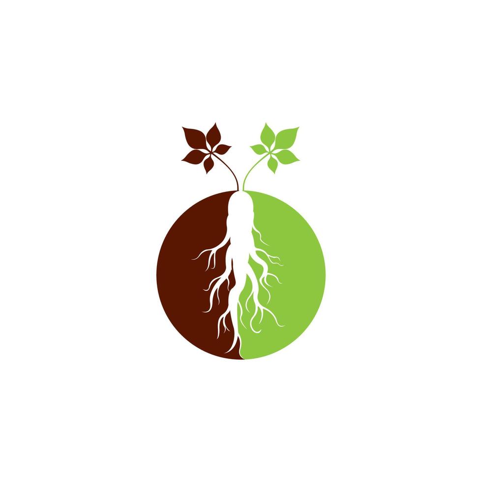 design de símbolo de ilustração vetorial de logotipo de ginseng. vetor