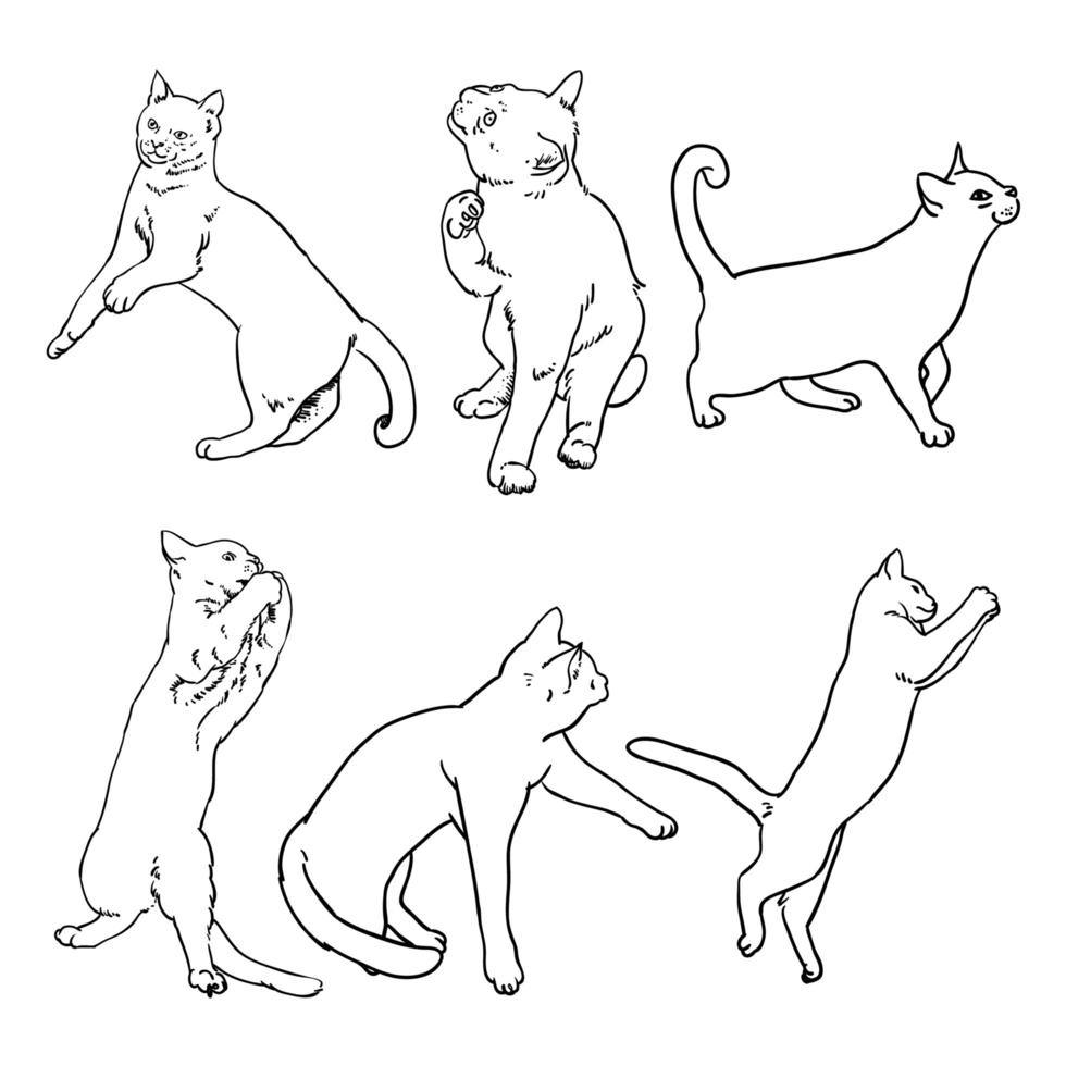 coleção de desenho de linha de gato vetor