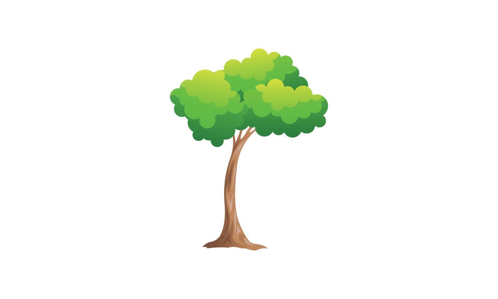 árvore verde decídua com ilustração vetorial isolada de raízes expostas vetor