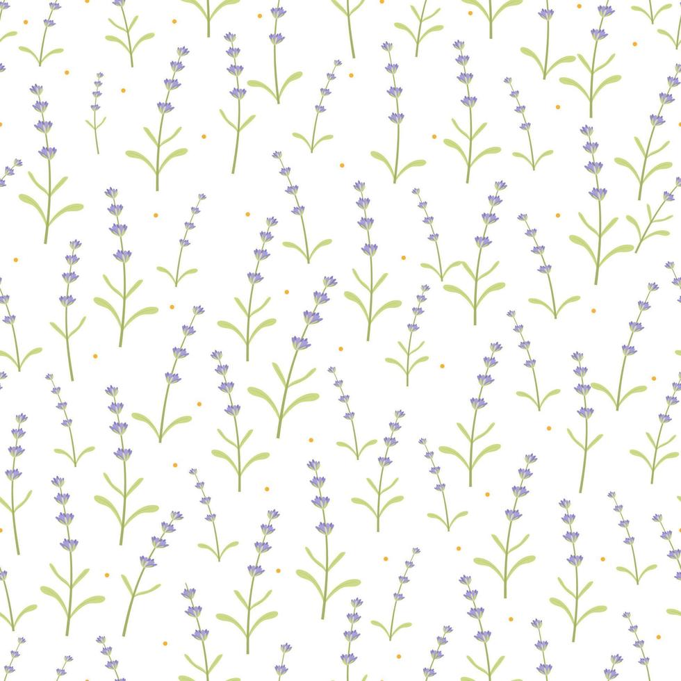 flor de lavanda violeta primavera sem costura padrão em fundo branco, ilustração vetorial repetir padrão floral florescendo bonito para tecido, embrulho, papel de parede, cartão postal, cartão de felicitações, pano de fundo do casamento vetor