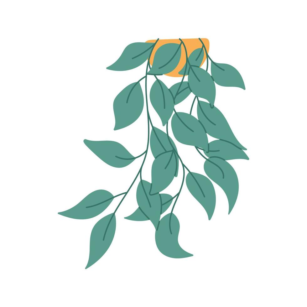 planta de casa de suspensão desenhada à mão, ilustração vetorial plana isolada no fundo branco. planta em vaso com folhas verdes penduradas. planta interna fofa em pote amarelo. vetor