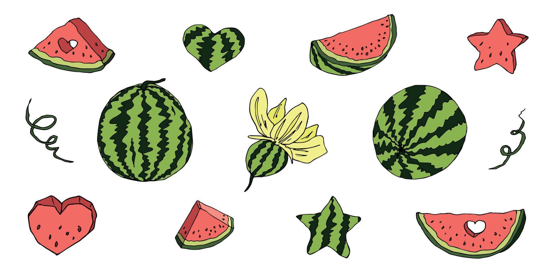 conjunto de vetores fofos de clipart de melancia. ícone de melancia desenhado à mão. ilustração de frutas.