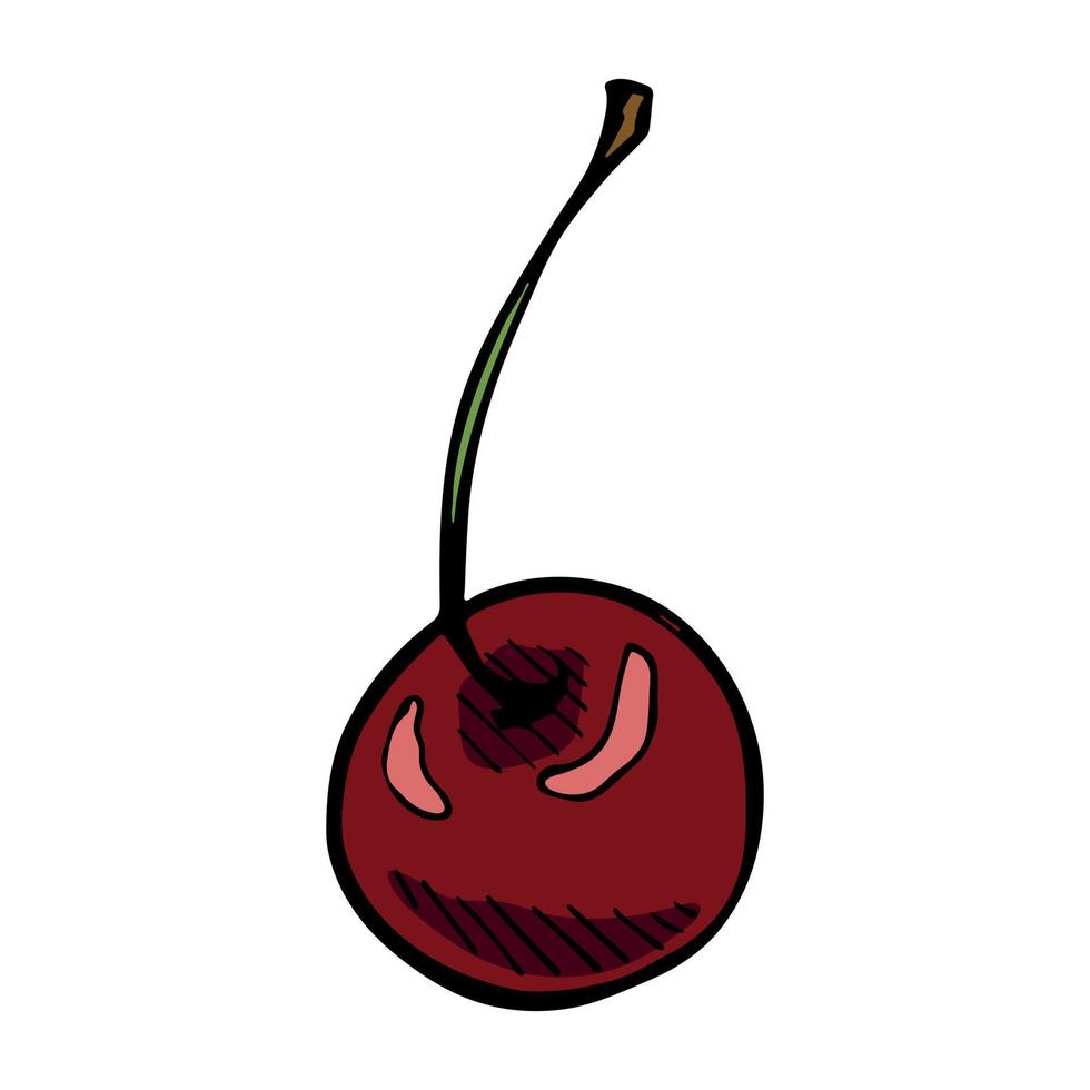 clipart de cereja vetorial. ícone de baga desenhada de mão. ilustração de frutas vetor