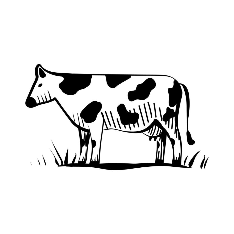 uma vaca leiteira está de pé em um prado com grama alta. ilustração vetorial desenhada à mão em estilo de desenho para design de embalagem vetor