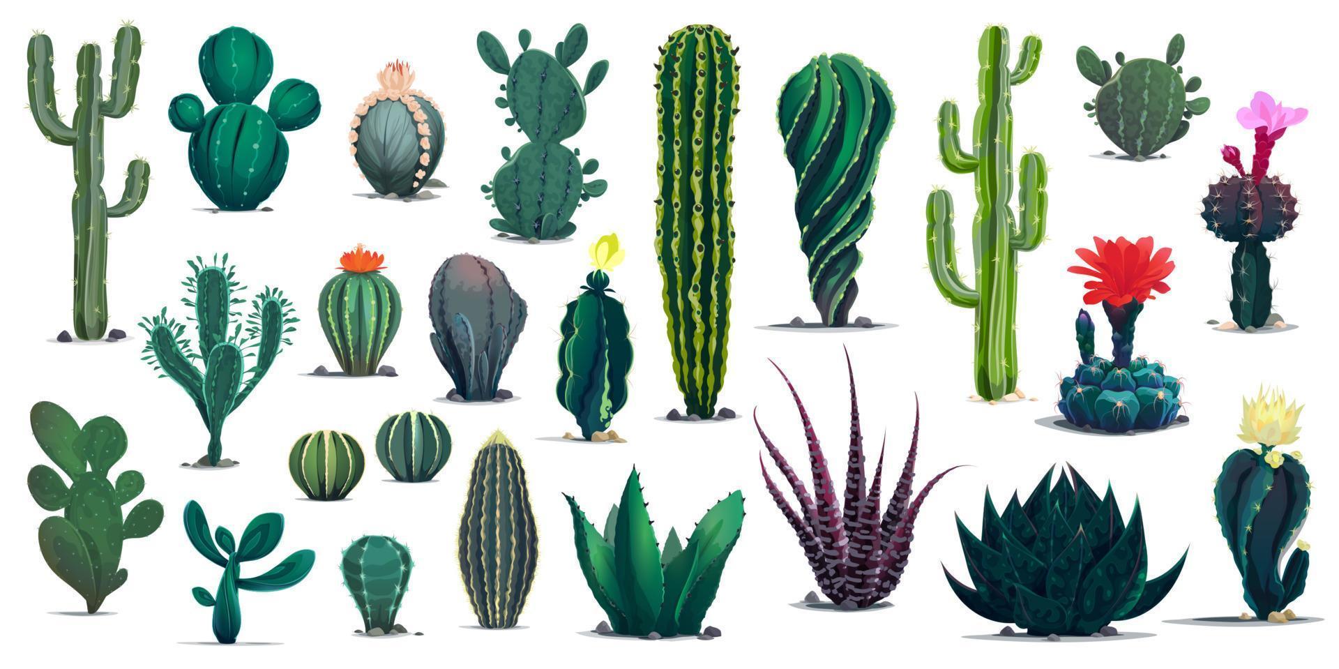 Cactos em vasos de desenhos animados, plantas do deserto, cactos e