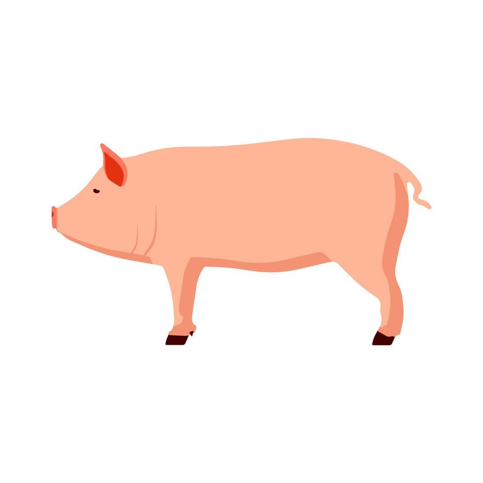 animal porco rosa ilustração vetorial vista lateral design dos desenhos animados. sinal gráfico de leitão de fazenda de arte bonito. elemento de mamífero doméstico porco porquinho. mascote silhueta suíno desenho animal de estimação bacon. conceito de gado vetor