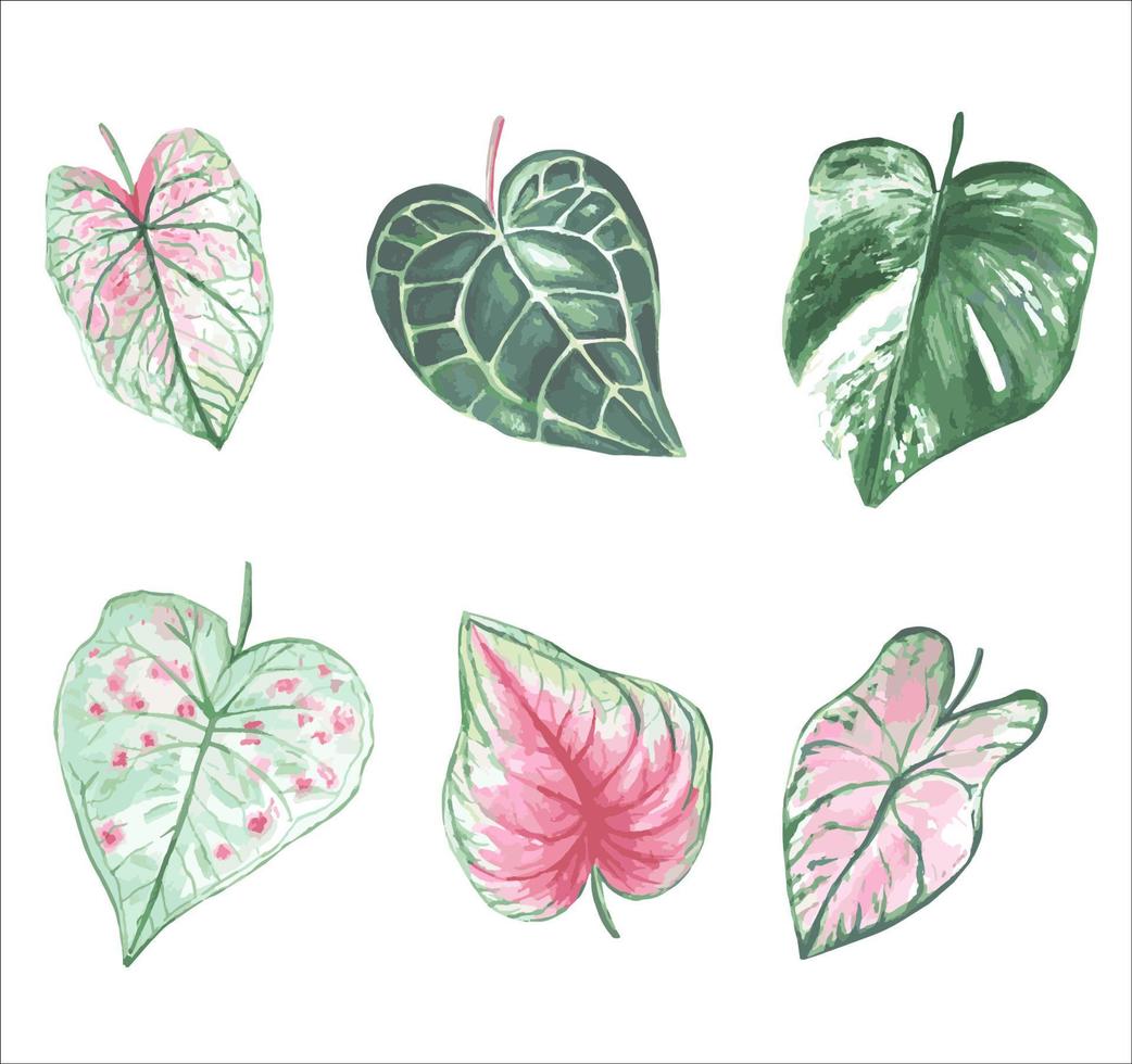conjunto de vetores em aquarela de folhas tropicais isoladas do fundo