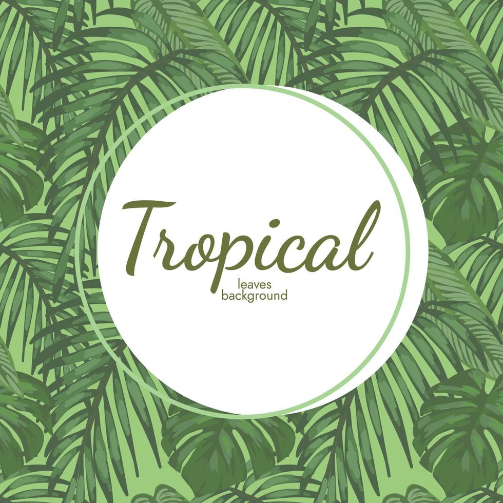 desenho de banner tropical handdraw vetor