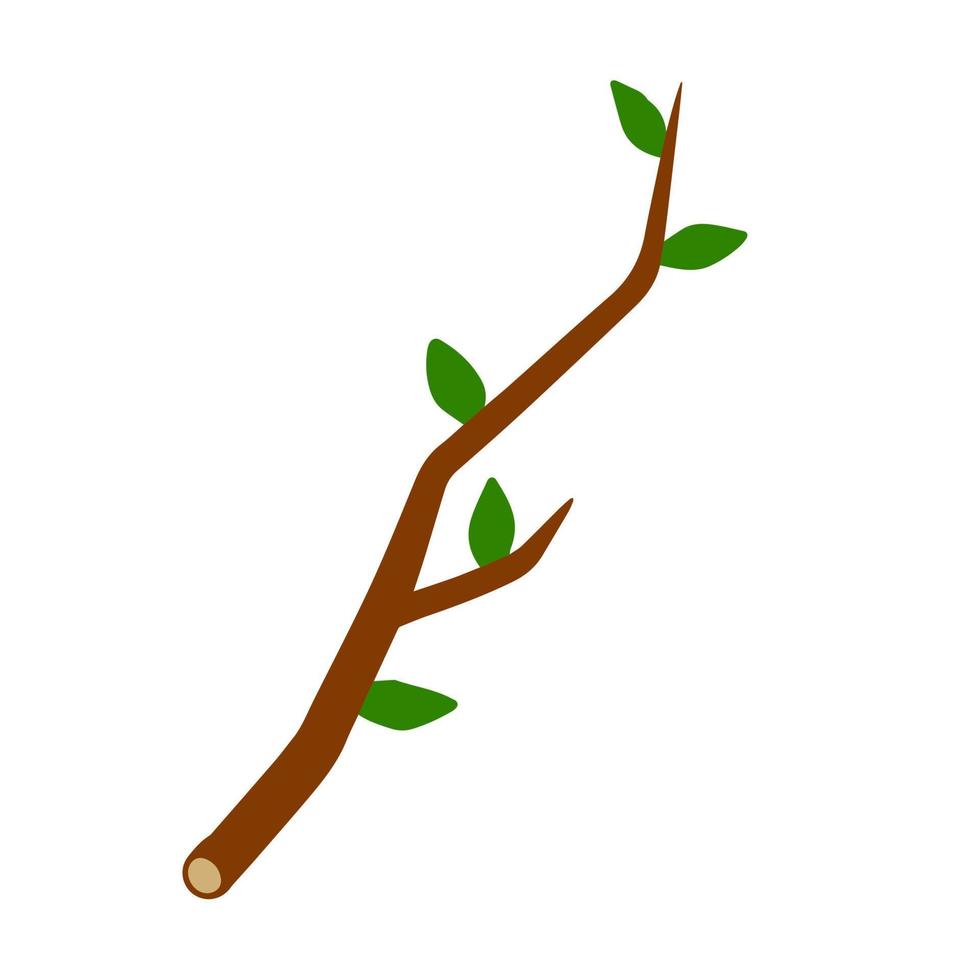 galho de árvore com folha na ilustração de fundo branco. elemento vegetal de madeira e natureza. ilustração simples plana vetor