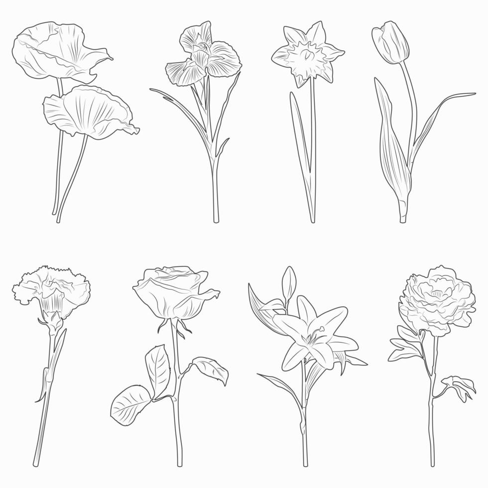 conjunto de esboços pretos de flores isoladas no fundo branco. elementos decorativos para design. ilustração vetorial. vetor