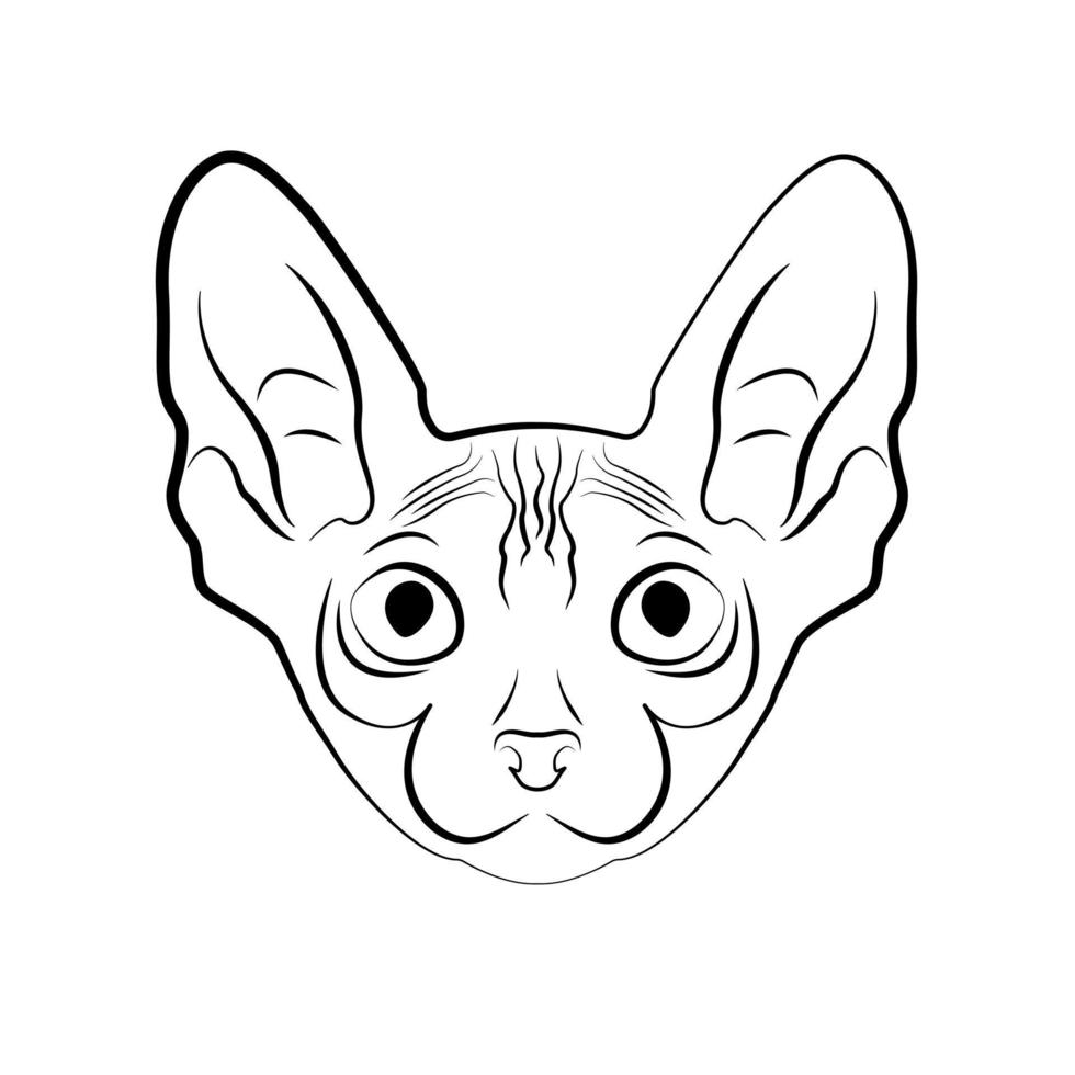 gato esfinge. logotipo com gato em fundo branco. silhueta felina. logotipo. ilustração vetorial vetor