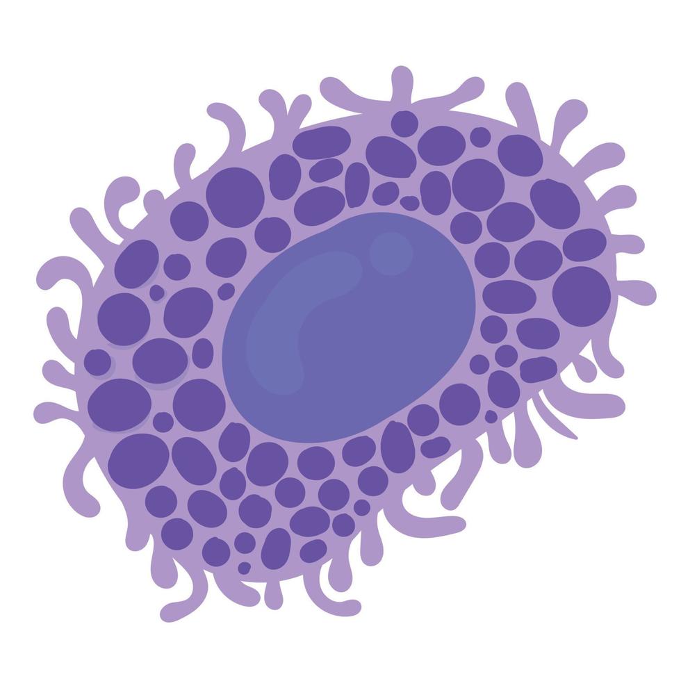 mastócitos são células imunes. vetor