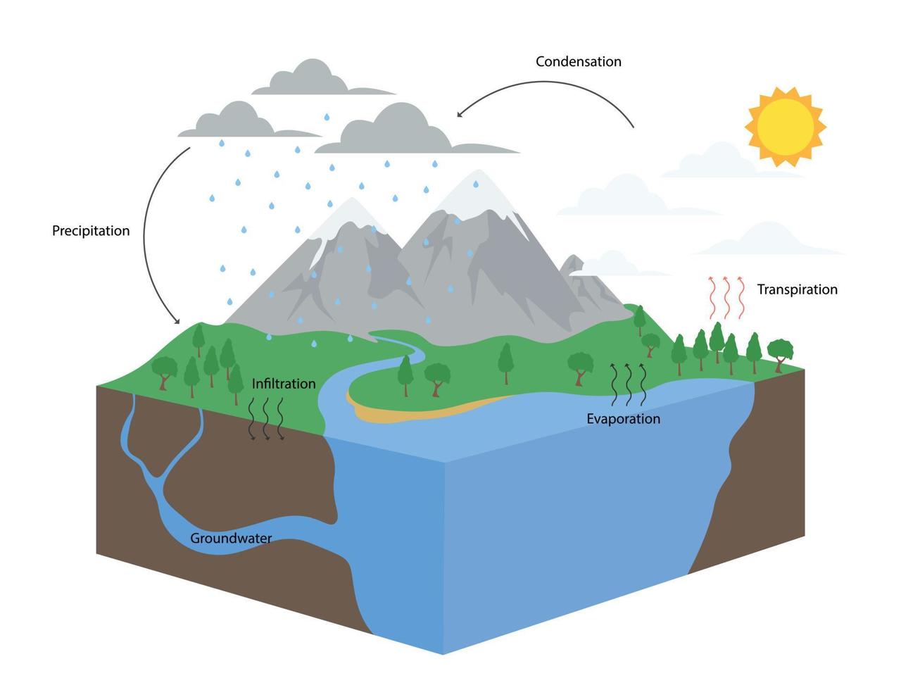diagrama do ciclo da água na ilustração da natureza vetor