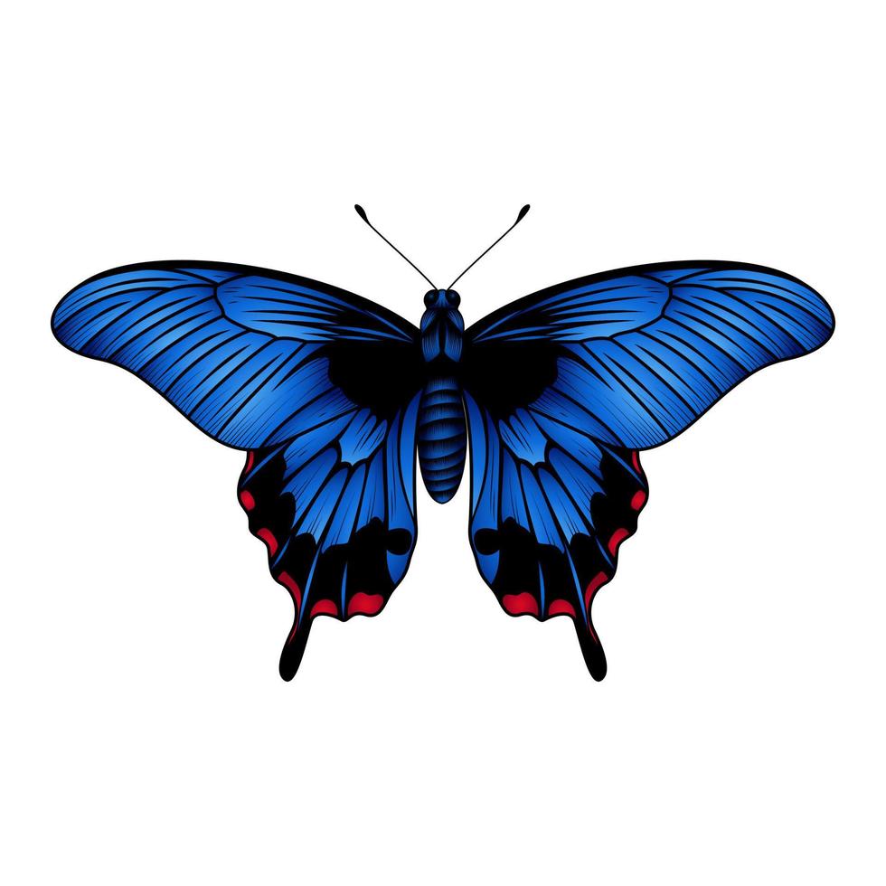 borboleta azul rabo de andorinha - ilustração vetorial de borboleta azul - borboleta azul morpho vetor