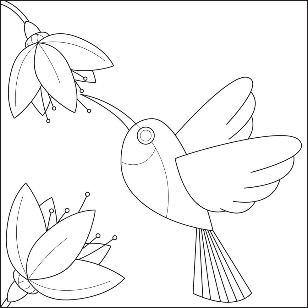 beija-flores e flores adequadas para ilustração vetorial de página para colorir infantil vetor