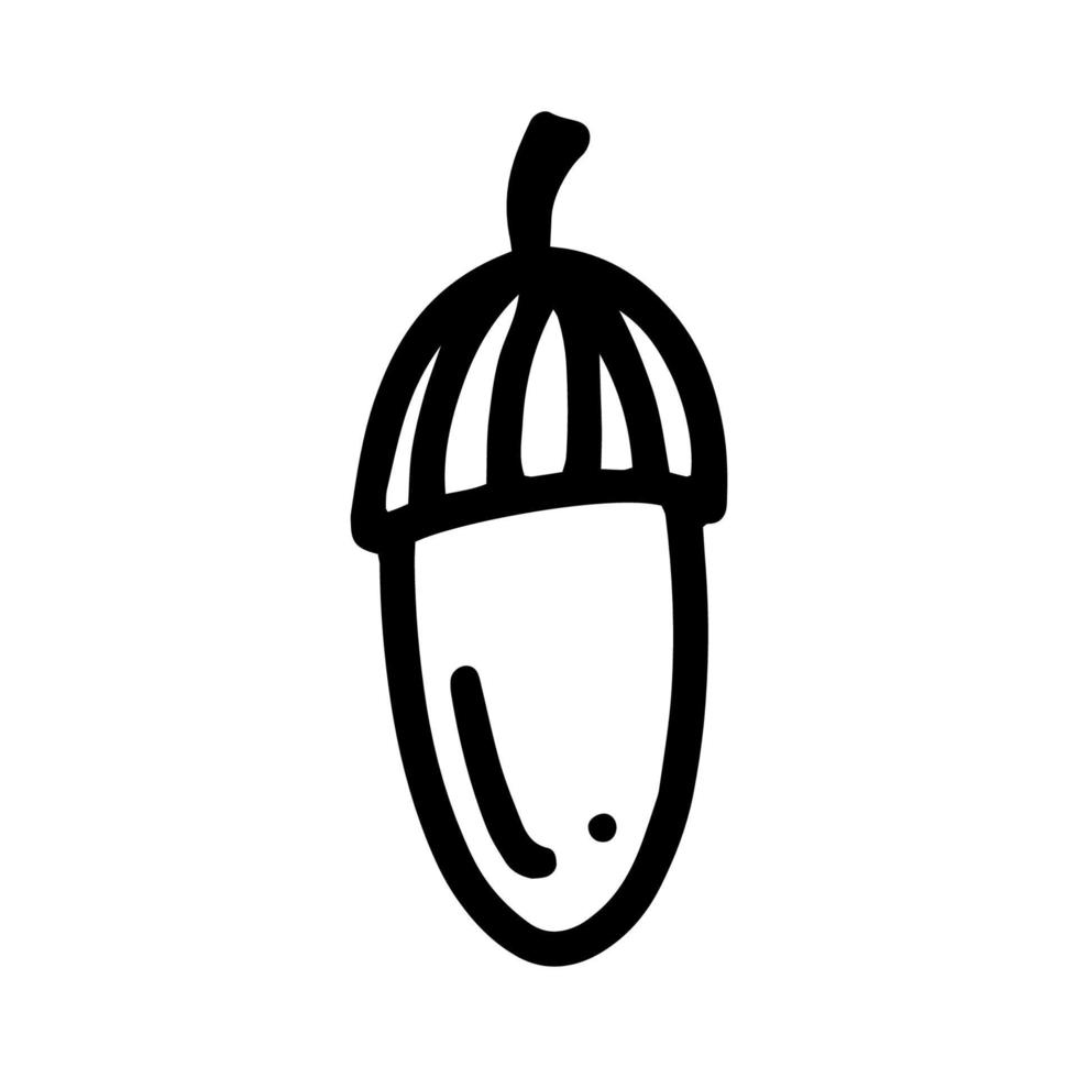 bolota de vetor, fruta de carvalho isolada no ícone de fundo branco. ilustração para design sazonal, têxtil, decoração infantil ou cartão de felicitações, outono e halloween. impressões desenhadas à mão e doodle. vetor