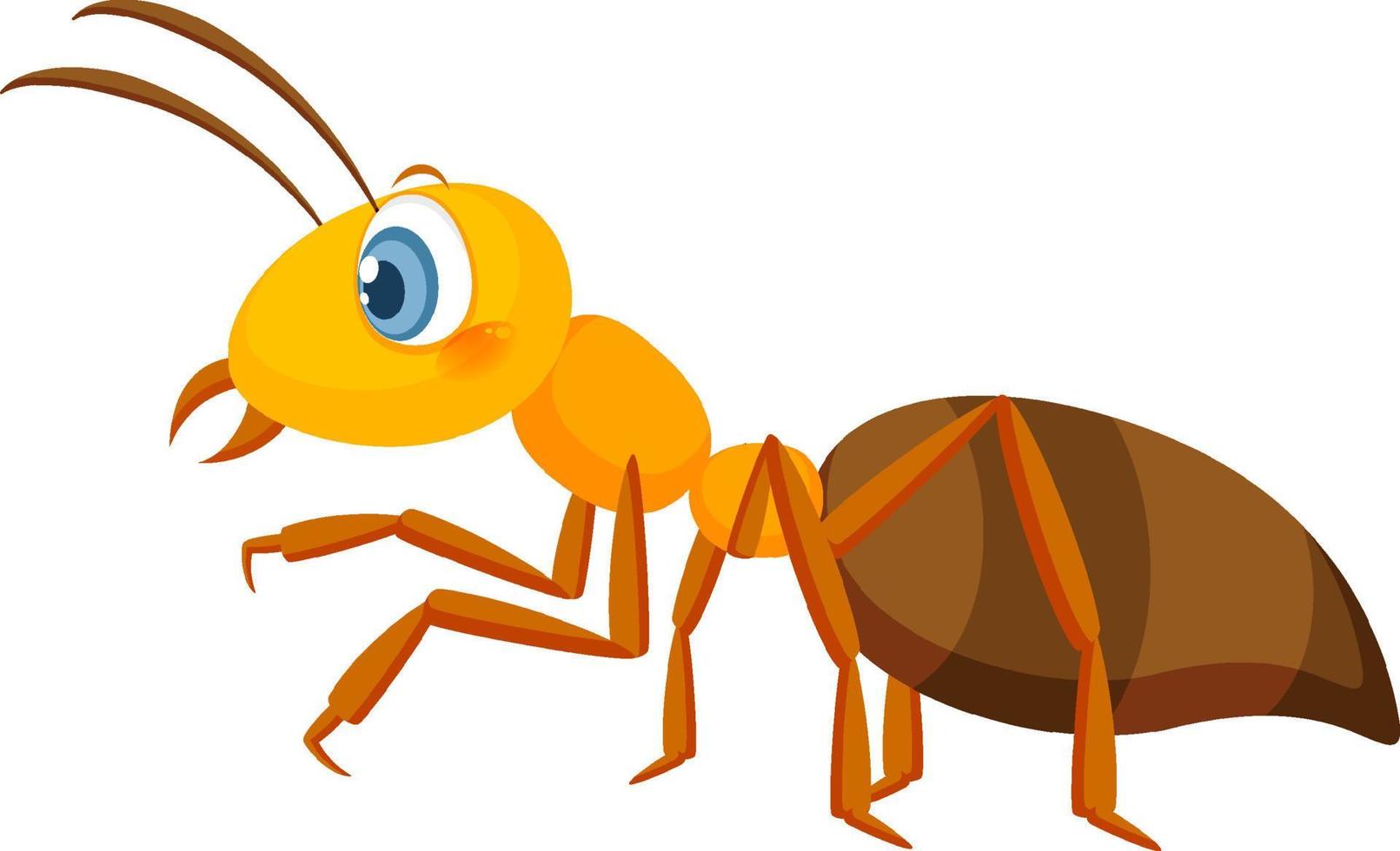 formiga amarela isolada no fundo branco vetor
