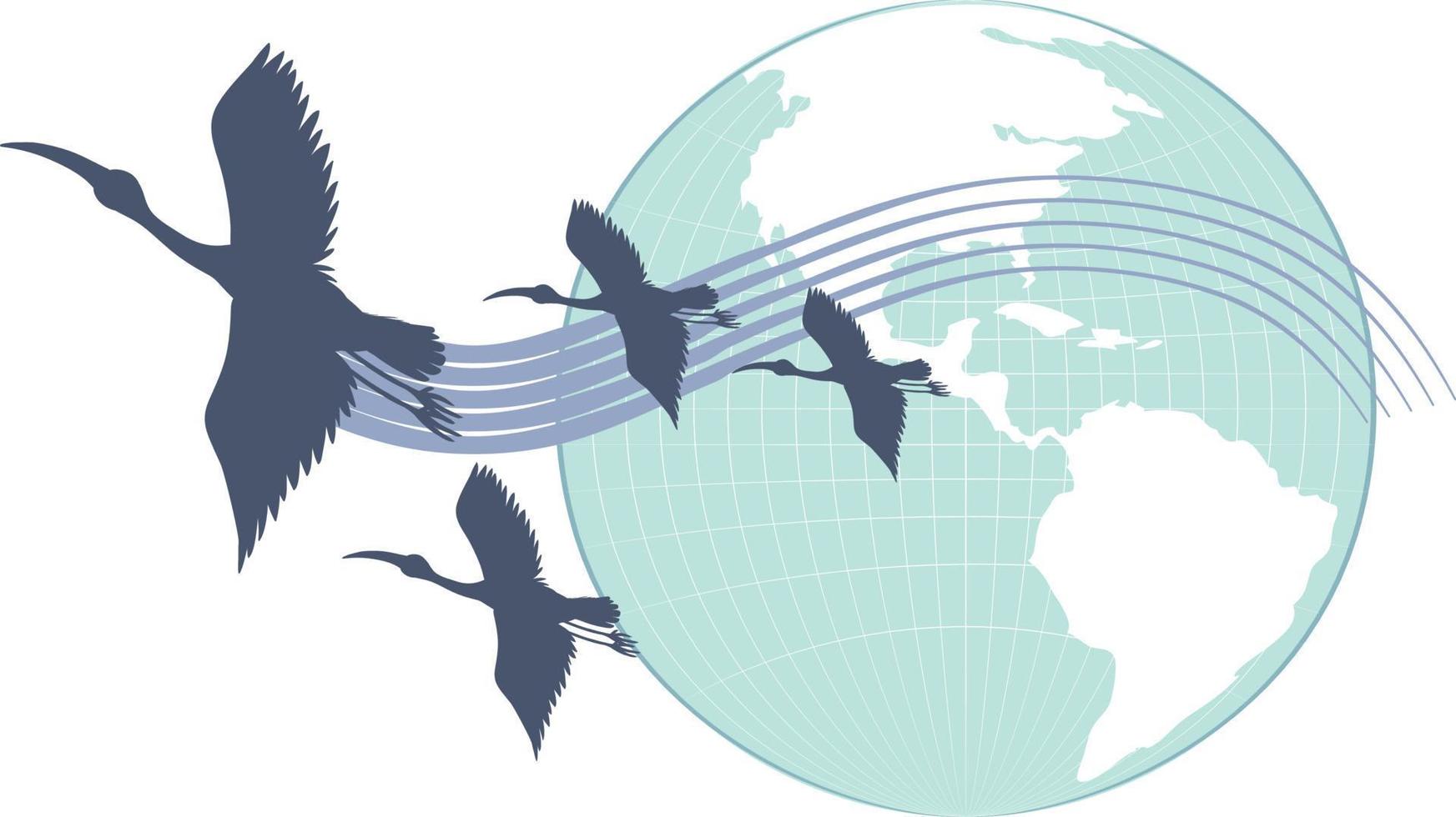pássaros de cegonha de silhueta voando com planeta terra vetor