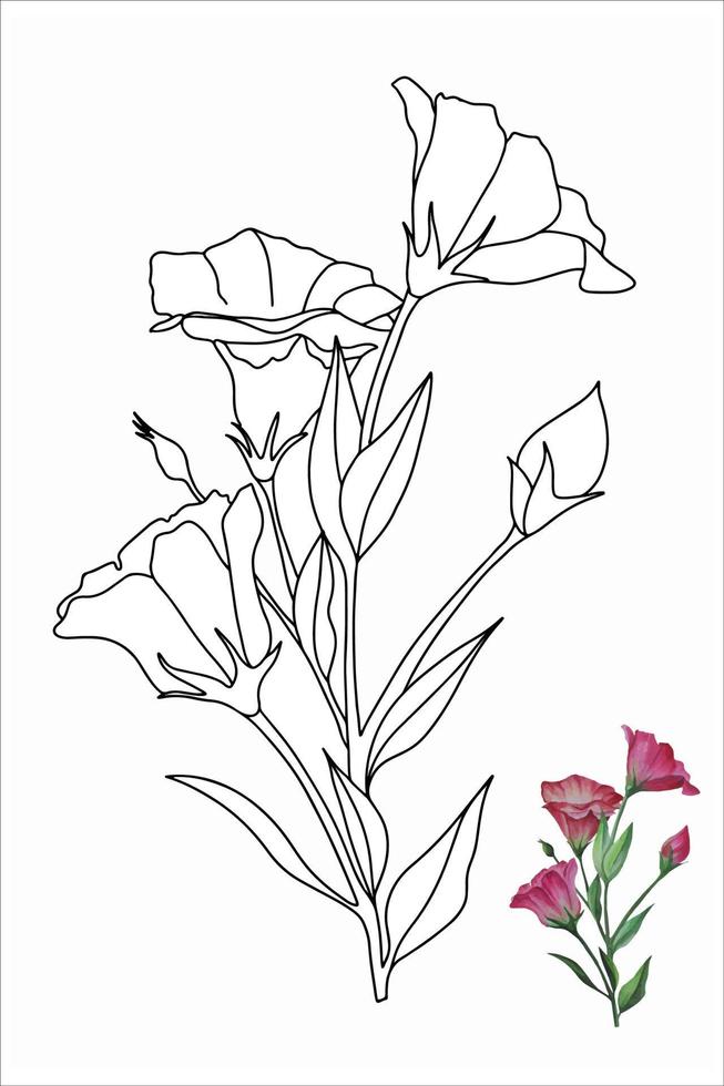 ilustração de flor de eustoma, lisianthus em estilo doodle para livro de colorir, colorir pages.ai vetor