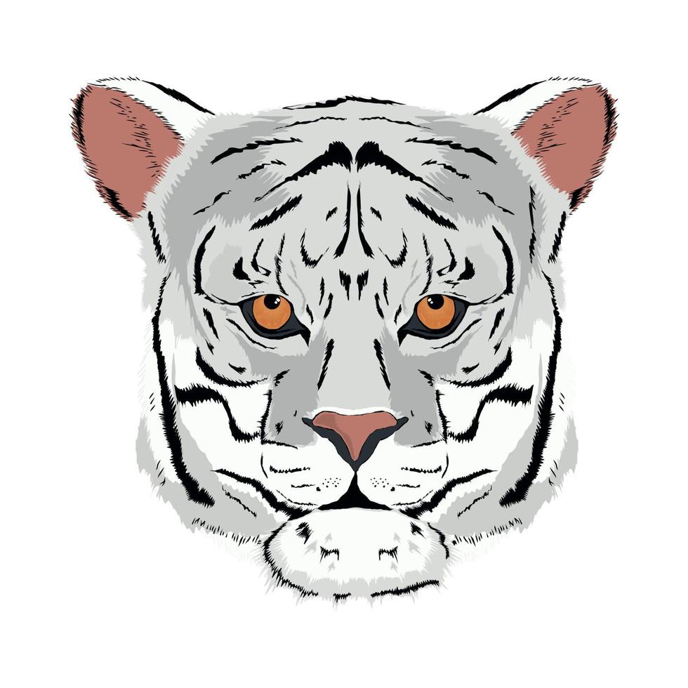 cara de tigre branco vetor