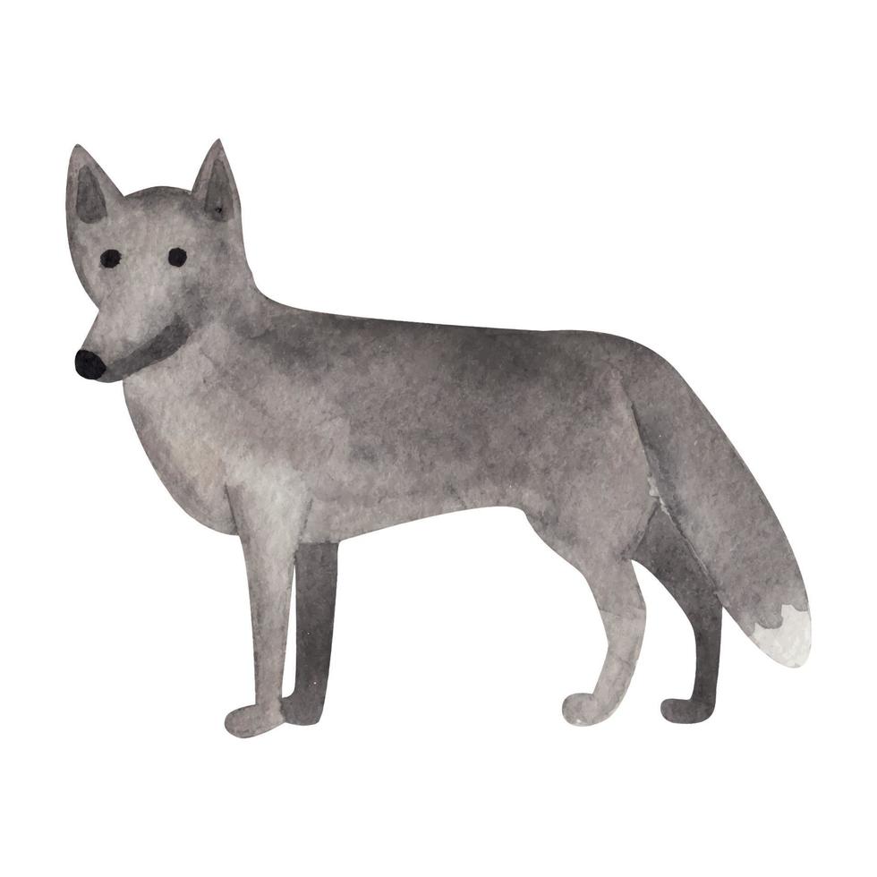 lobo cinzento, ilustração em aquarela vetor