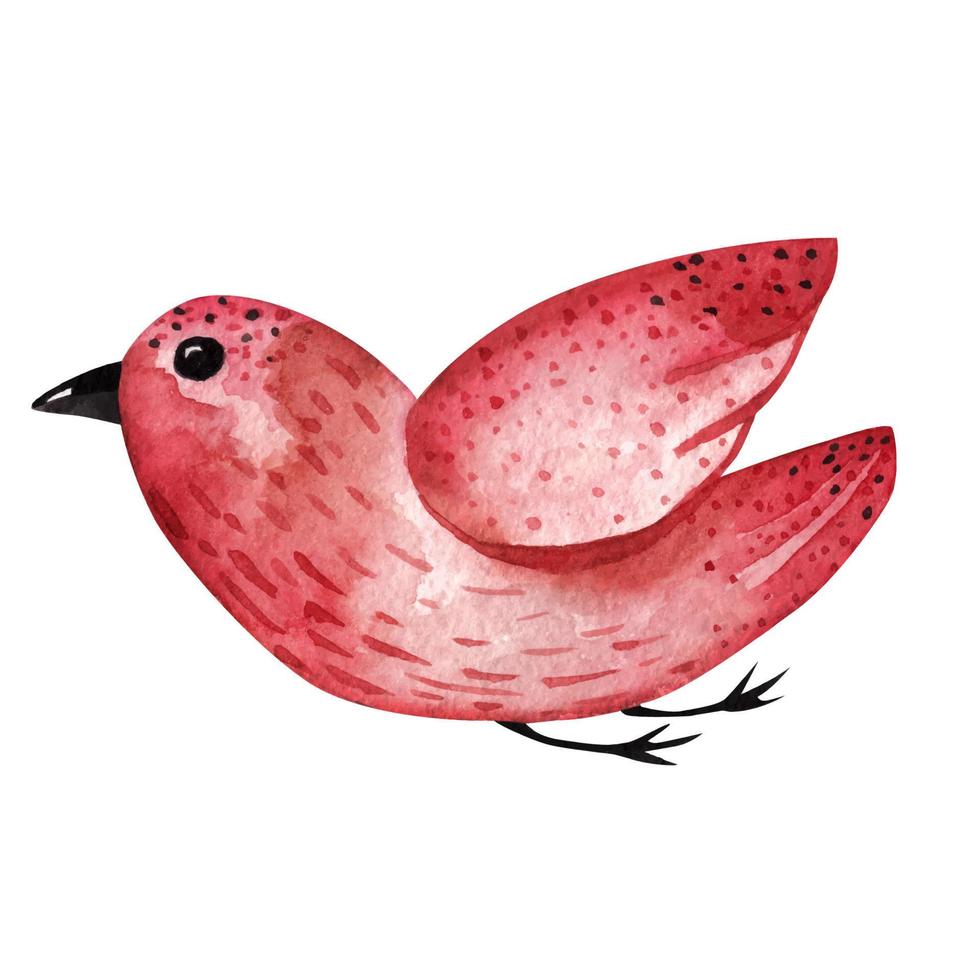 pássaro. ilustração em aquarela vetor