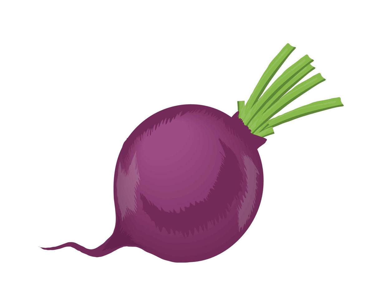 ícone vegetal de rabanete vetor